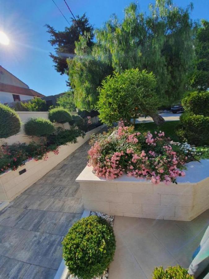 Calypso Royal Apartment زادار المظهر الخارجي الصورة