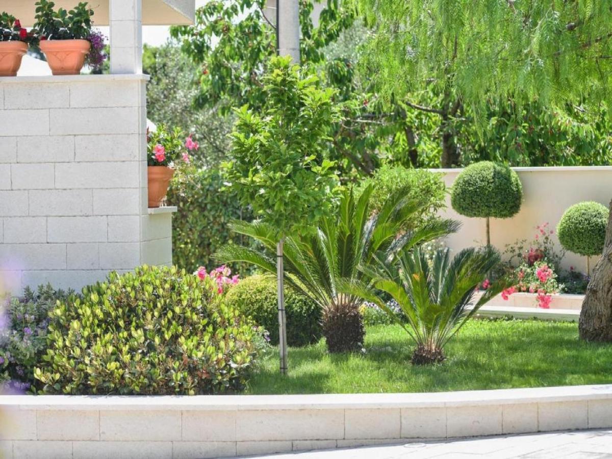 Calypso Royal Apartment زادار المظهر الخارجي الصورة