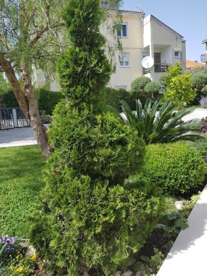 Calypso Royal Apartment زادار المظهر الخارجي الصورة